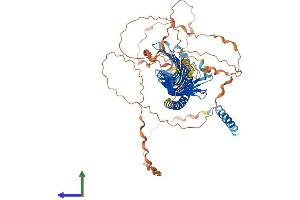 AlphaFold protein structure predicition of Human Recombinant JPH4 Protein, UniprotID Q96JJ6 (Junctophilin 4 Protein (JPH4) (AA 1-628) (His tag))