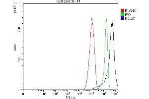 Flow Cytometry analysis of RT4 cells using anti-HCLS1 antibody (ABIN7600645).