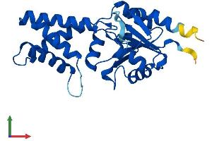AlphaFold protein structure predicition of Mouse Recombinant Nanp Protein, UniprotID Q9CPT3 (NANP Protein (AA 1-248) (His tag))