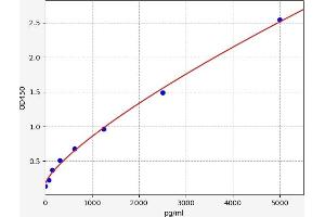 CASP5 ELISA Kit