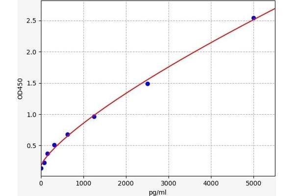 CASP5 ELISA Kit