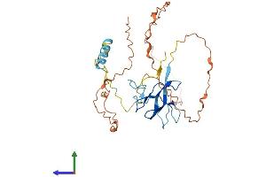 Protein Structure (PS) image for Zygote Arrest 1-Like (ZAR1L) (AA 1-321) protein (His tag) (ABIN7545239)