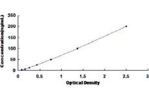 Typical standard curve (Adiponectin Receptor 1 ELISA Kit)