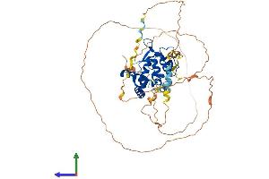 AlphaFold protein structure predicition of Human Recombinant NFIA Protein, UniprotID Q12857 (NFIA Protein (AA 1-509) (His tag))