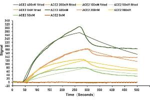 Surface Plasmon Resonance (SPR) image for SARS-CoV-2 Spike S1 (RBD) protein (His-SUMOstar Tag) (ABIN6953166)