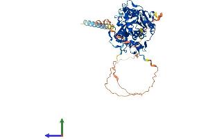 AlphaFold protein structure predicition of Mouse Recombinant Mgat3 Protein, UniprotID Q10470 (MGAT3 Protein (AA 1-538) (His tag))