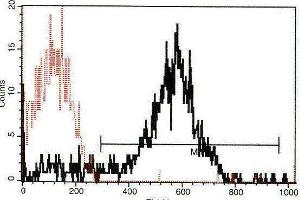 A typical staining pattern with the B-F46 monoclonal antibody of platelets (P-Selectin antibody)