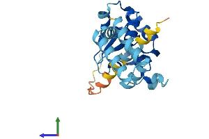 AlphaFold protein structure predicition of Human Recombinant LRAT Protein, UniprotID O95237