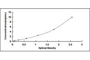 Typical standard curve (DARPP32 ELISA Kit)
