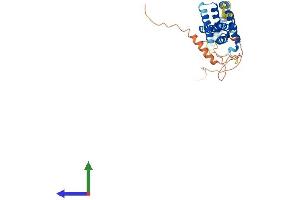 AlphaFold protein structure predicition of Human Recombinant CDC37L1 Protein, UniprotID Q7L3B6