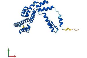 AlphaFold protein structure predicition of Mouse Recombinant Gid8 Protein, UniprotID Q9D7M1