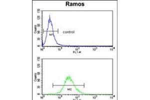 Flow Cytometry (FACS) image for anti-Complement Component (3d/Epstein Barr Virus) Receptor 2 (CR2) (AA 986-1014), (C-Term) antibody (ABIN5536956)