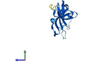 Protein Structure (PS) image for Inner Mitochondrial Membrane Peptidase Subunit 2 (IMMP2L) (AA 1-175) protein (His tag) (ABIN7548513)