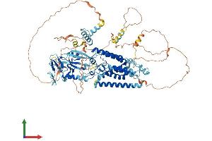 Protein Structure (PS) image for Rhomboid 5 Homolog 1 (RHBDF1) (AA 1-855) protein (His tag) (ABIN7555173)