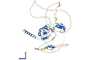 AlphaFold protein structure predicition of Mouse Recombinant Sprtn Protein, UniprotID G3X912 (Spartan Protein (AA 1-497) (His tag))