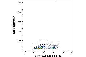Flow cytometry surface staining pattern of rat thymocytes stained using anti-rat CD4 (OX-35) FITC antibody (concentration in sample 1 μg/mL). (CD4 antibody  (FITC))