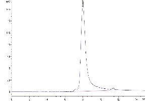 Size-exclusion chromatography-High Pressure Liquid Chromatography (SEC-HPLC) image for Interleukin 17A (IL17A) (AA 24-155) protein (His tag) (ABIN7274991)