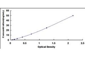 COL9A3 ELISA Kit