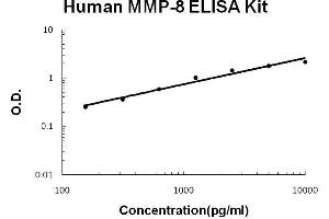 Human MMP-8 PicoKine ELISA Kit standard curve (MMP8 ELISA Kit)