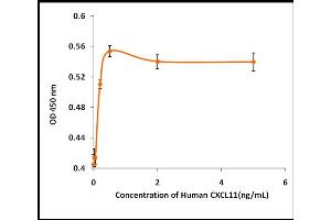 Activity Assay (AcA) image for Chemokine (C-X-C Motif) Ligand 11 (CXCL11) (Active) protein (ABIN5509360) (CXCL11 Protein)