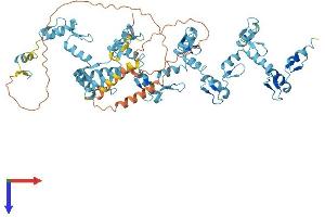 Protein Structure (PS) image for Zinc Finger Protein 17 (ZNF17) (AA 1-662) protein (His tag) (ABIN7545507)