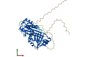 AlphaFold protein structure predicition of Mouse Recombinant Serpina3f Protein, UniprotID Q80X76
