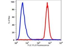 Flow Cytometry (FACS) image for anti-Integrin alpha M (ITGAM) antibody (Biotin) (ABIN3071786) (CD11b antibody  (Biotin))