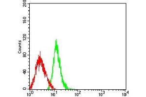 Flow cytometric analysis of HL-60 cells using PD1 mouse mAb (green) and negative control (red). (PD-1 antibody  (AA 21-170))