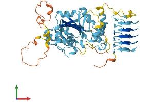AlphaFold protein structure predicition of Human Recombinant EIF2B3 Protein, UniprotID Q9NR50