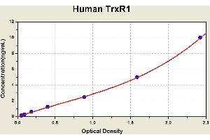 Diagramm of the ELISA kit to detect Human TrxR1with the optical density on the x-axis and the concentration on the y-axis. (TXNRD1 ELISA Kit)