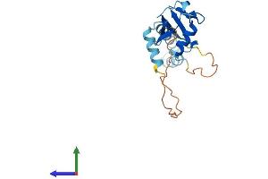 Protein Structure (PS) image for Ubiquitin-Like 4B (UBL4B) (AA 1-174) protein (His tag) (ABIN7545015)