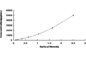 Typical Standard Curve (PDGFRL ELISA Kit)