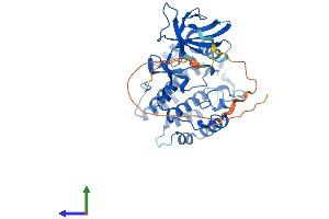 AlphaFold protein structure predicition of Human Recombinant VRK1 Protein, UniprotID Q99986
