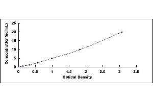 Leucine Rich Repeat Containing 15 (LRRC15) ELISA Kit