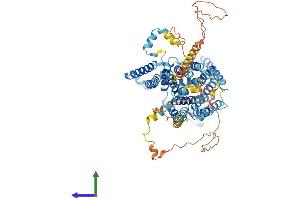 AlphaFold protein structure predicition of Human Recombinant SLC7A14 Protein, UniprotID Q8TBB6 (SLC7A14 Protein (AA 1-771) (His tag))