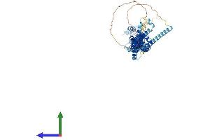 AlphaFold protein structure predicition of Mouse Recombinant Prc1 Protein, UniprotID Q99K43 (PRC1 Protein (AA 1-603) (His tag))