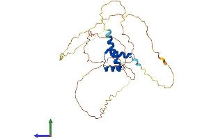 Protein Structure (PS) image for Nanog Homeobox (NANOG) (AA 1-305) protein (His tag) (ABIN7554668)