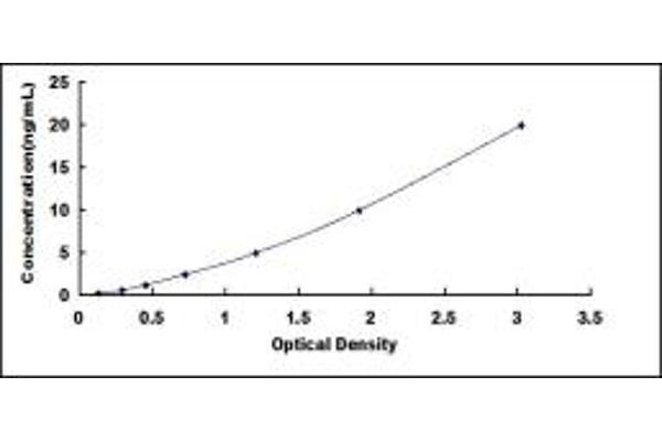 SLC1A5 ELISA Kit