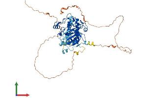 Protein Structure (PS) image for Ribosomal Protein S6 Kinase, 70kDa, Polypeptide 1 (RPS6KB1) (AA 1-525) protein (His tag) (ABIN7554401)