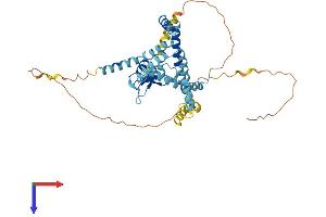 ZFYVE27 Protein (AA 1-411) (His tag)