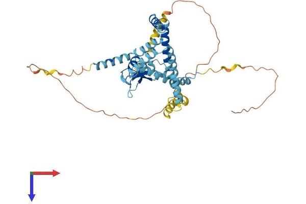 ZFYVE27 Protein (AA 1-411) (His tag)