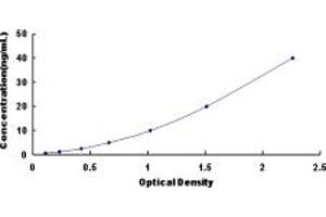 Typical standard curve (LPCAT4 ELISA Kit)