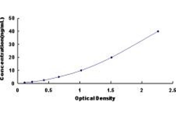 LPCAT4 ELISA Kit