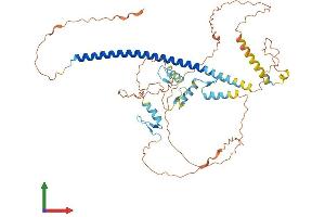 AlphaFold protein structure predicition of Human Recombinant ZNF212 Protein, UniprotID Q9UDV6