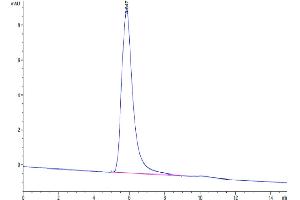 The purity of Human GARP&Latent TGF Beta 2 Complex is greater than 95 % as determined by SEC-HPLC.