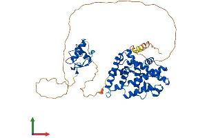 Protein Structure (PS) image for Estrogen-Related Receptor gamma (ESRRG) (AA 1-458) protein (His tag) (ABIN7556610)