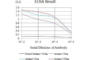 Black line: Control Antigen (100 ng),Purple line: Antigen (10 ng), Blue line: Antigen (50 ng), Red line:Antigen (100 ng) (SIRPG antibody  (AA 29-360))