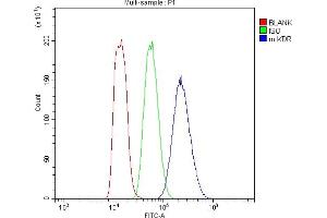 Flow Cytometry analysis of MFC cells using anti-VEGF Receptor 2 antibody (ABIN5693262).