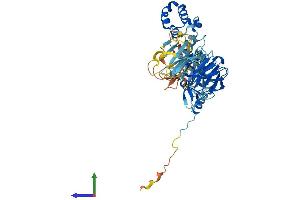 AlphaFold protein structure predicition of Human Recombinant KBTBD4 Protein, UniprotID Q9NVX7 (KBTBD4 Protein (AA 1-518) (His tag))