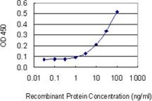 Detection limit for recombinant GST tagged LAMA2 is 1 ng/ml as a capture antibody.